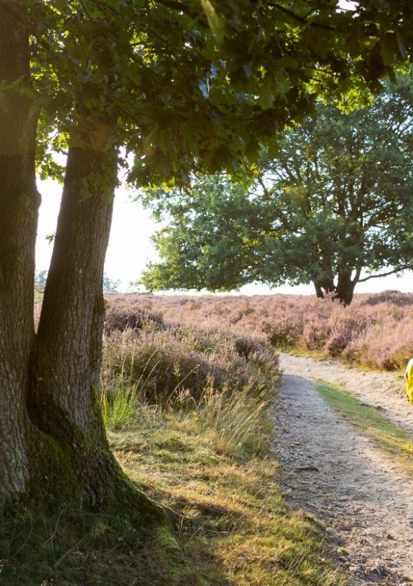Grensoverschrijdend fietsen en wandelen?