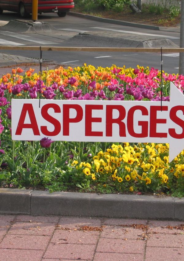 40 jaar Müskens Asperges! 6